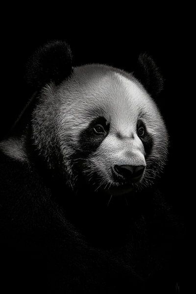 Panda by Poster Art Shop