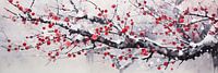 Snowy plum blossom