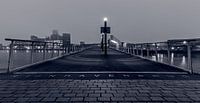 Le pont Rijnhaven à Rotterdam par MS Fotografie | Marc van der Stelt Aperçu