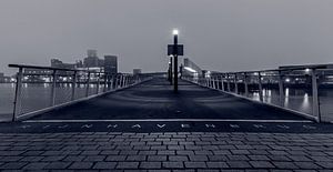 Le pont Rijnhaven à Rotterdam sur MS Fotografie | Marc van der Stelt
