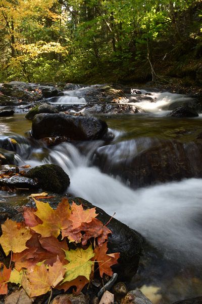 Der Fluss im Herbst von Claude Laprise