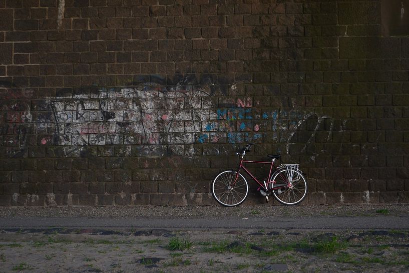 De Fiets by N.E. images