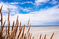 La Torche Strand