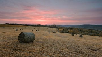 Bottes de foin dans la région Eiffel - Allemagne sur René Spruijtenburg