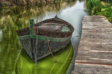 Oude schuit, oude houten boot van Iris Heuer