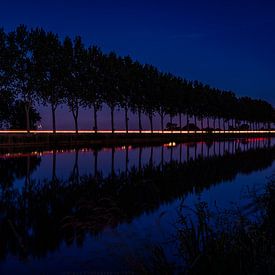 Dunkles Licht von Bas Haker