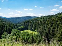 View over the Thuringian Forest in Germany