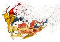 The Painter