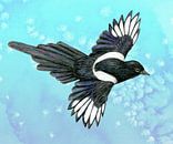 Vliegende ekster potlood tekening van Bianca Wisseloo thumbnail