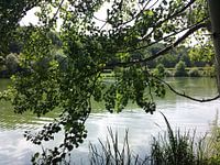 Ellertshäuser See