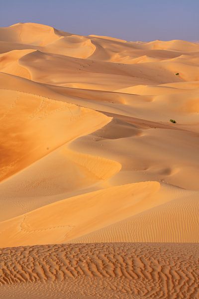 Empty Quarter Abu Dhabi by Achim Thomae Photography