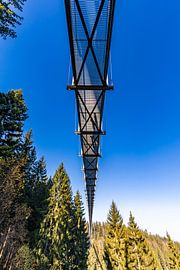 Pont suspendu WildLine à Bad Wildbad dans la Forêt-Noire sur Werner Dieterich