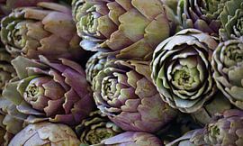 Fresh artichokes by Andreas Kilian