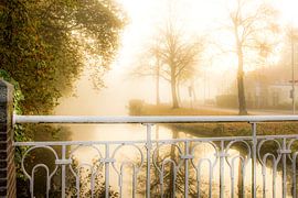 Leiden op zijn mooist!