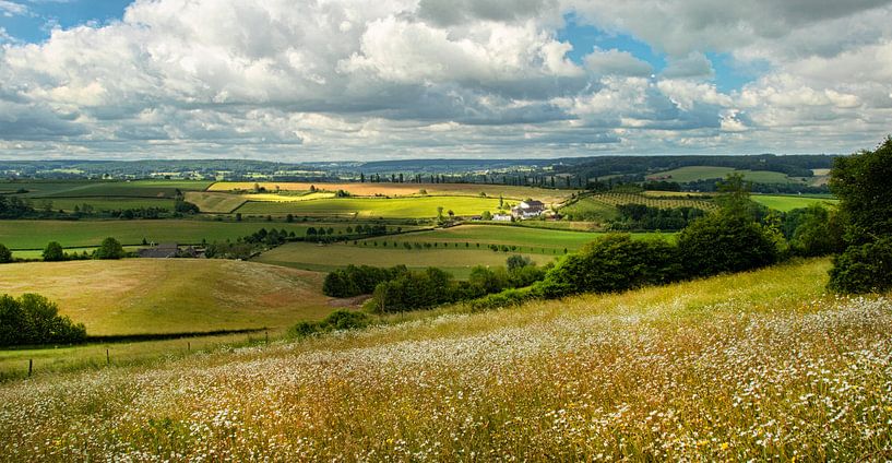 Vue des Pays-Bas par peter reinders