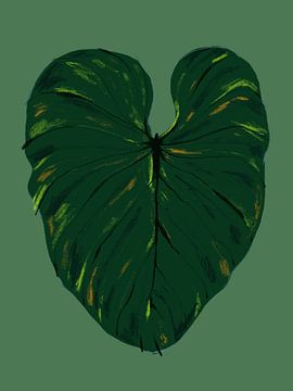 Philodendron Gloriosum Green, Francesco Gulina van 1x