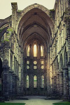 Kleuren zonsopgang retro klooster ruïne foto | Abdij van Villers België | zonlicht Architectuurfotografie Kunst van An Rogier