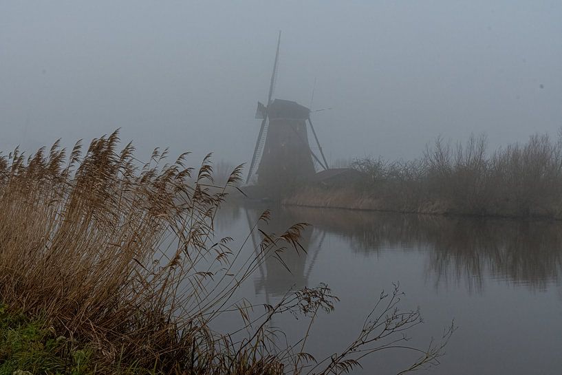 Kinderdijk Windmühle im Nebel von Merijn Loch