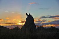 Texel-Landschaft 027