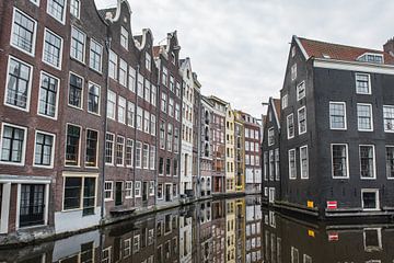 La Petite Venise sur Alexander Tromp