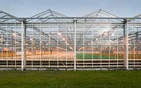 Glastuinbouw
