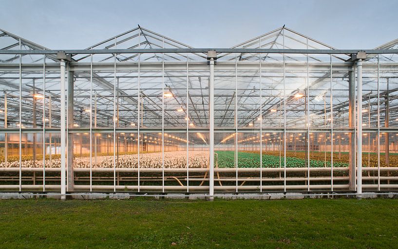 Glastuinbouw van Daan Overkleeft
