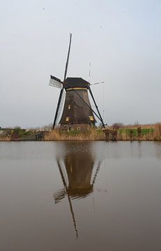 Windmühle Kinderdijk von Merijn Loch