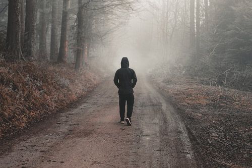 Marche dans la forêt brumeuse d'automne