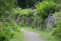 Kloostermuur