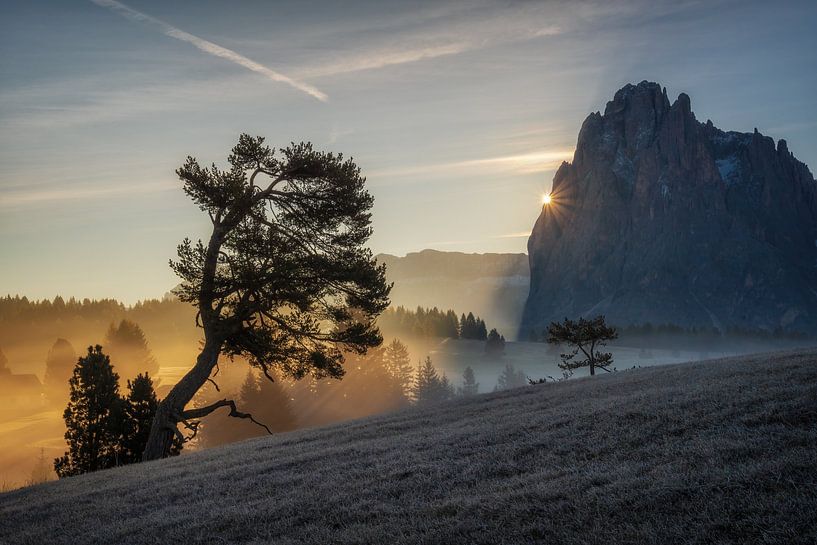 Der Baum auf dem Hügel von Martin Podt