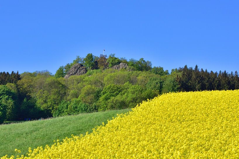 Spitzberg in Oberoderwitz van Karin Jähne