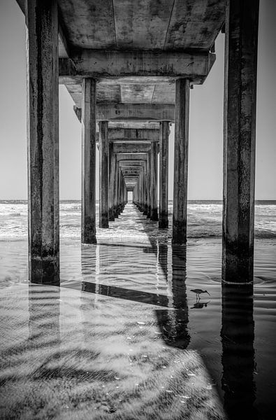 Bird reflection by Loris Photography