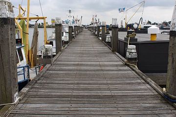 Jetée du port sur Fendo Pater