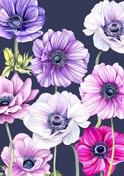 Anemones cheerfulness by Geertje Burgers
