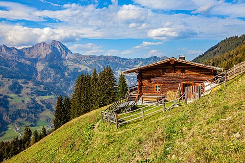 Un chalet d'alpage dans la vallée de Gastein