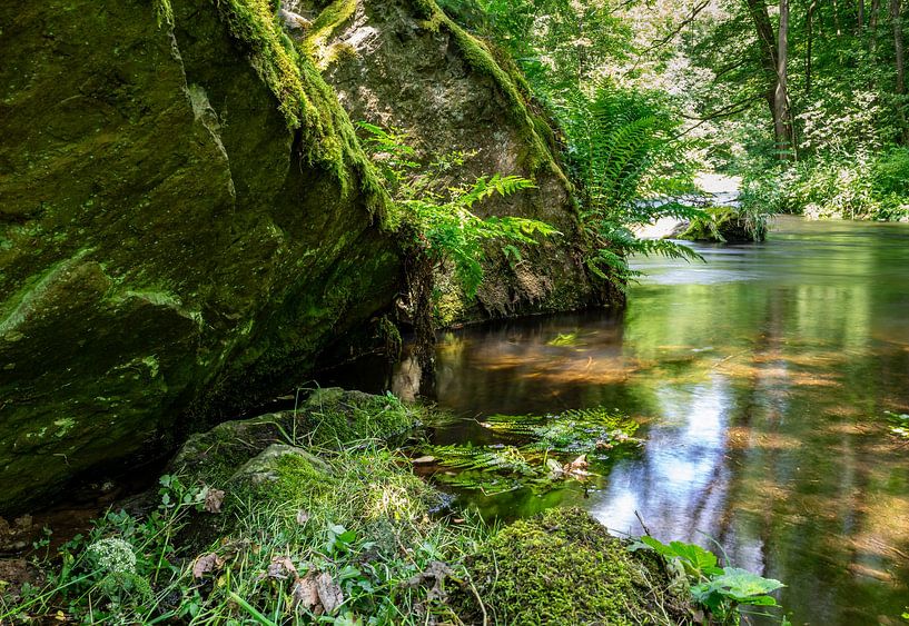 Landschap in het Triebtal Vogtland Saksen van Animaflora PicsStock