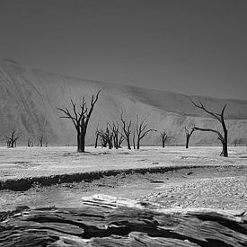 Death Valley Namibia ( deathvlei) von Linda Manzaneque