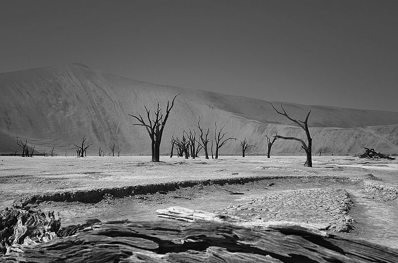 dode vallei in Namibie ( Death Vlei ) von Linda Manzaneque