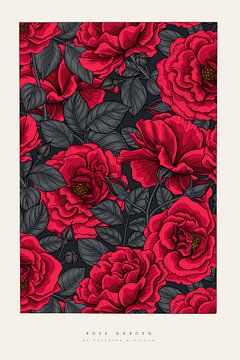 Roses rouges sur Katerina Kirilova