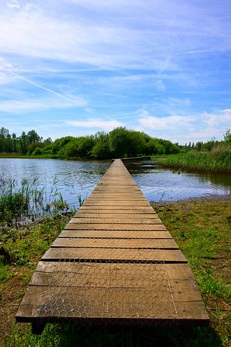 Vlonderpad in Rijkevorsel: Rust over Water