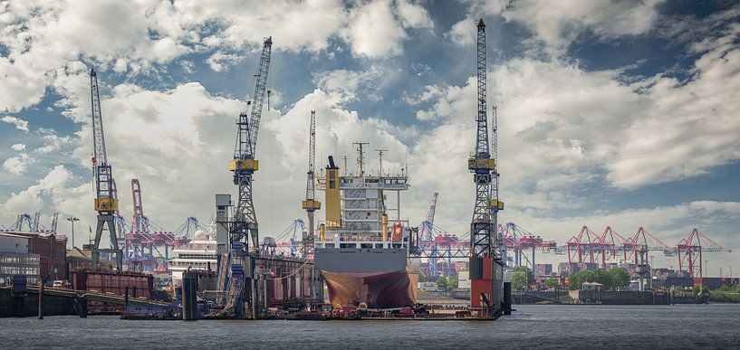 Schip in droogdok met havenkranen op de achtergrond van Jonas Weinitschke