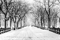New York City, Winter (monochroom) van Sascha Kilmer thumbnail