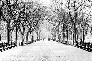 New York City, hiver (monochrome) sur Sascha Kilmer