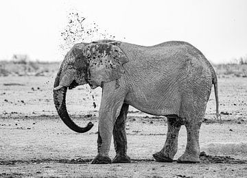 Eléphant se rafraîchissant à un point d'eau en Namibie, Afrique sur Patrick Groß