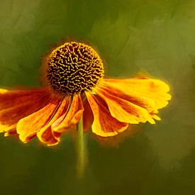 Sonnenblume auf grünem Hintergrund von Rogier Droogsma