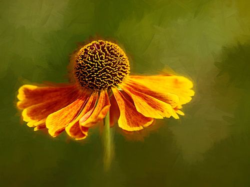 Sonnenblume auf grünem Hintergrund von Rogier Droogsma