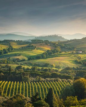 Landscape of the Morellino di Scansano wine vineyards, Tuscany by Stefano Orazzini