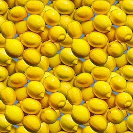 Zitronen von Leopold Brix