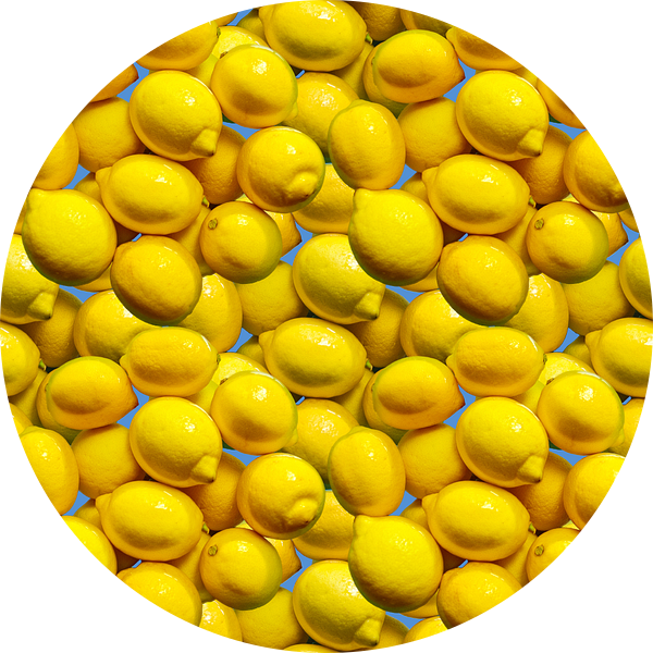 Citroenen van Leopold Brix