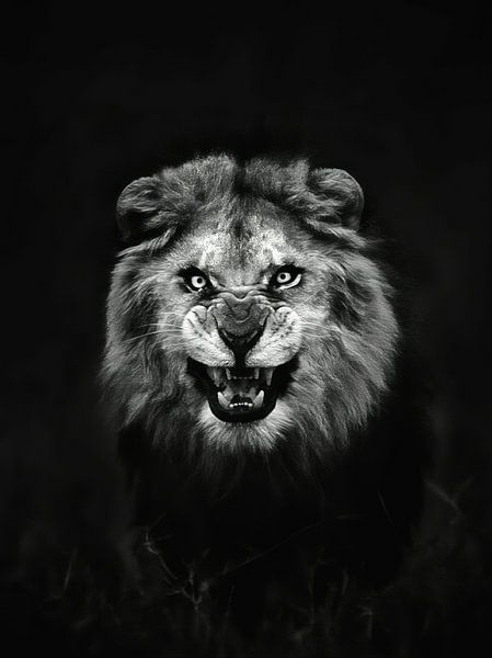 King Lion by Yoga Pranata